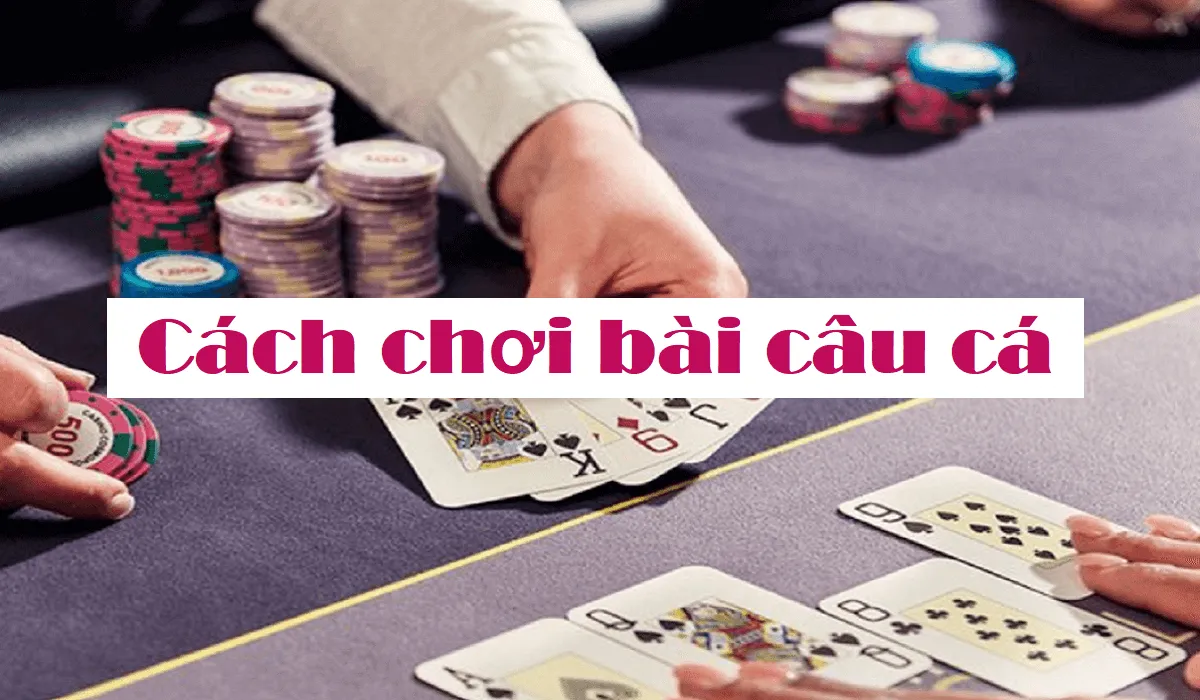 Hướng dẫn đánh bài câu cá chắc thắng